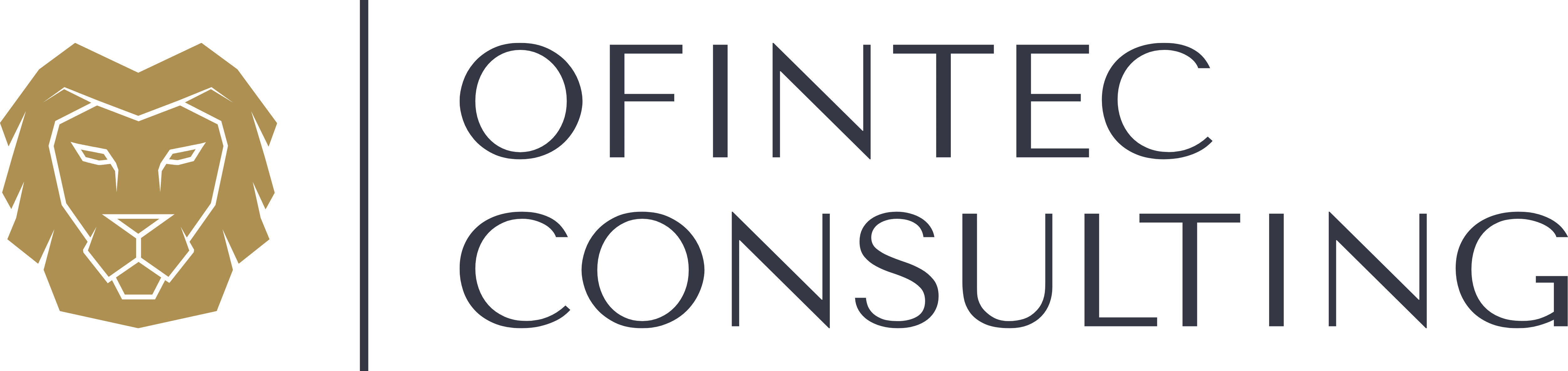 Logo de Ofintec consulting
